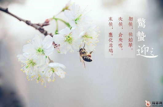 驚蟄時(shí)節(jié)，山西鋼結(jié)構(gòu)工人怎么過？